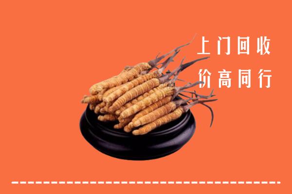 高价求购：扬中市回收散虫草