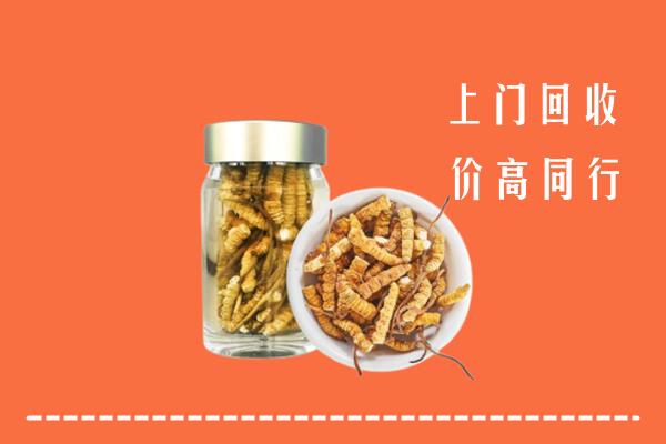 扬中市回收冬虫夏草
