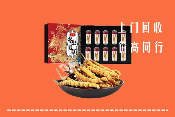 扬中市回收虫草